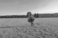 /album/fotogalerie/p1190800-jpg/