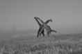 /album/fotogalerie/p1190839-jpg/